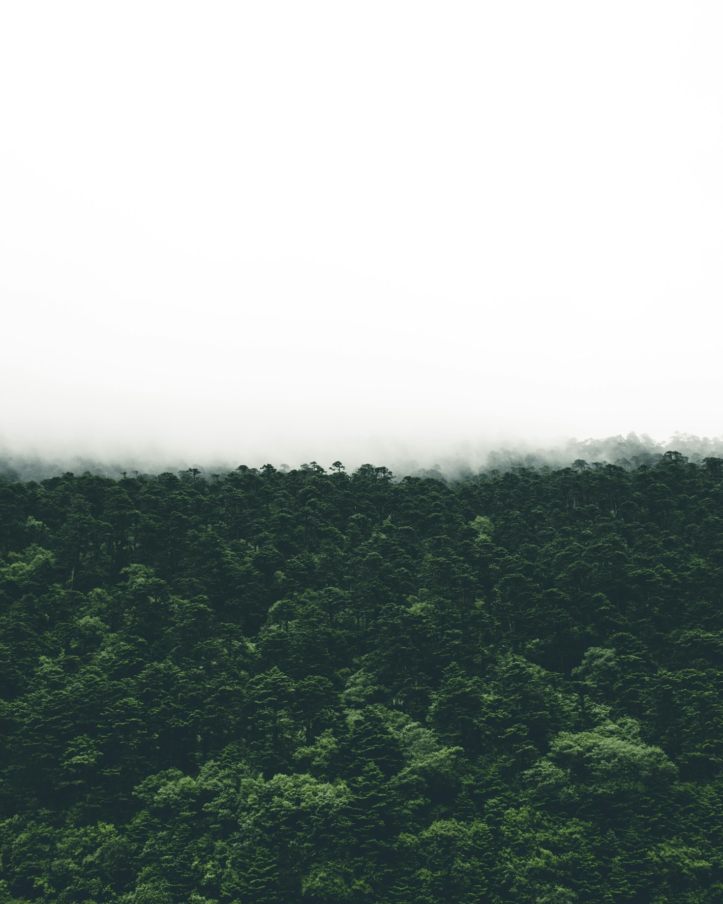 Creación de la reserva ‘El Valle de las Dantas’