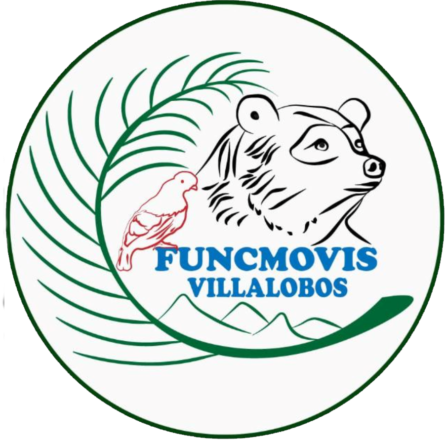 Fundación FUNCMOVIS
